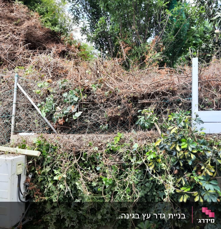 גדר מתכת עם צמחייה יבשה וירוקה